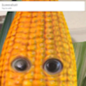 Meet your Posher, Patrick